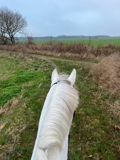 Inlägg 89 av Allround med titeln Äntligen tillbaka 