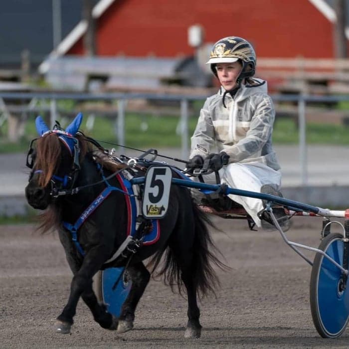 Media 1 av Emmeros Pärla