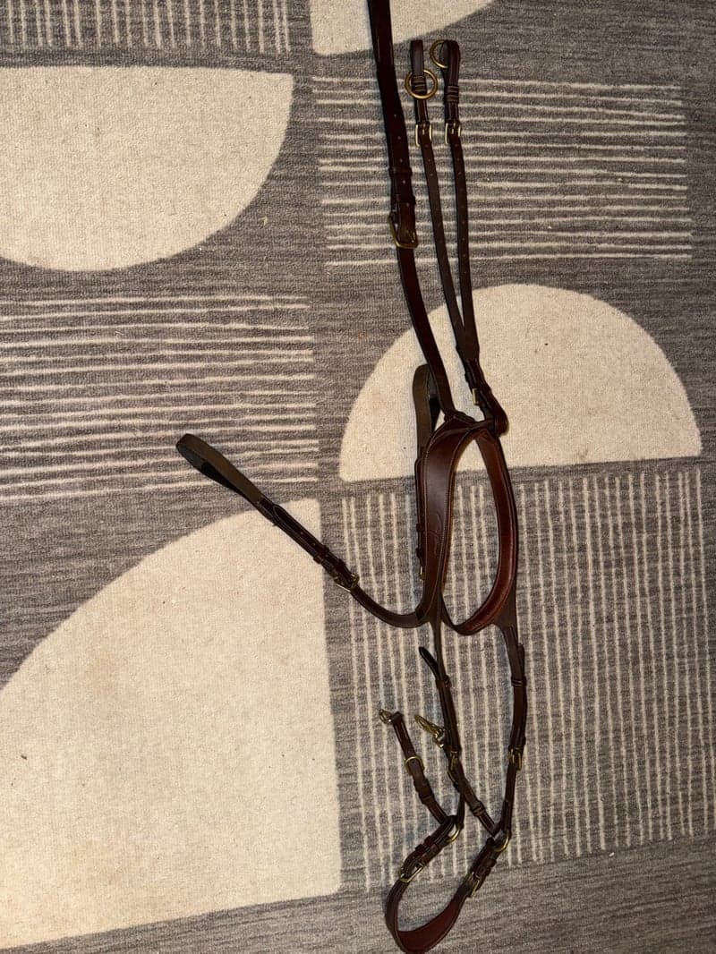 Bild 2 av Dyon 5 punkt brösta