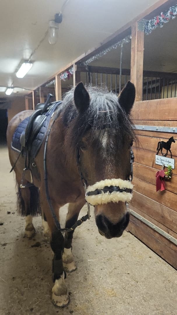 Media 7 av Jammi Dodger