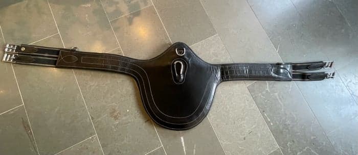 Media 1 av Svart sadelgjord