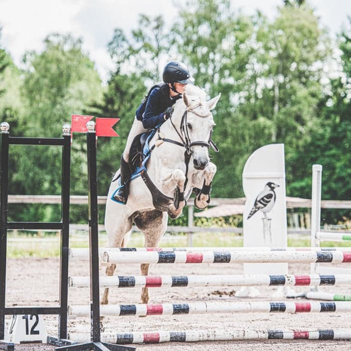 Media 1 of Bellodge countess