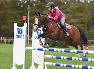 Inlägg 134 av Allround med titeln Ungponny championatet🫶🏼