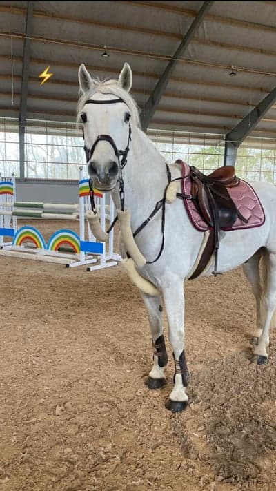 Inlägg 15 av Connemara med titeln 🐥