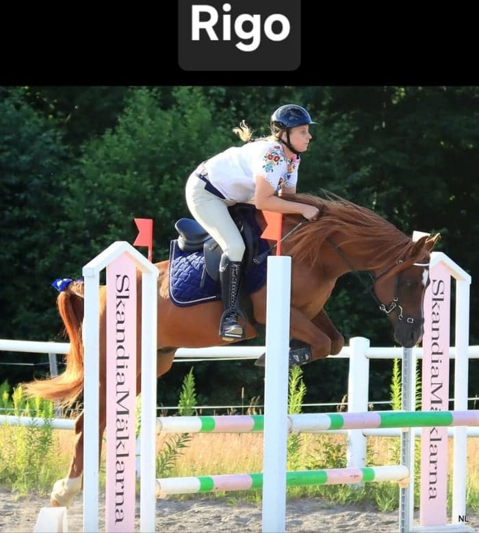 Media 9 of Ákombákom