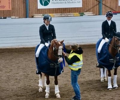 Post 18 of German Riding Pony with title Vinst i elitserien😍