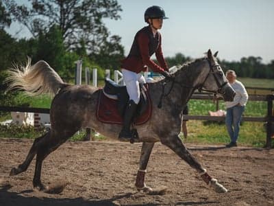 Inlägg 12 av Arabiskt Fullblod med titeln Hopptävling 