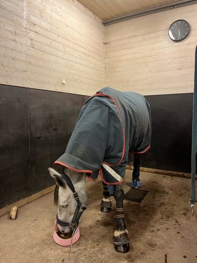 Inlägg 17 av SWB med titeln Påväg till träning 🌟