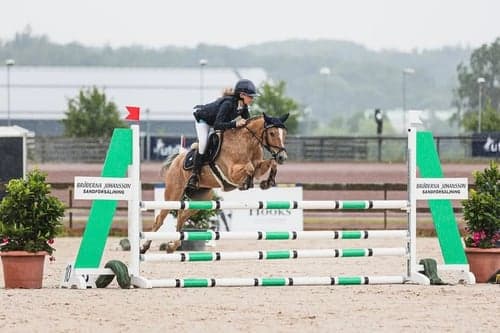 Image of Underbar maxad c-ponny!