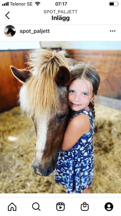 Inlägg 24 av Svensk Ridponny med titeln Paljett ❤️‍🩹