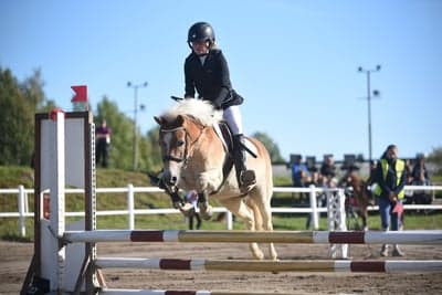 Inlägg 127 av Allround