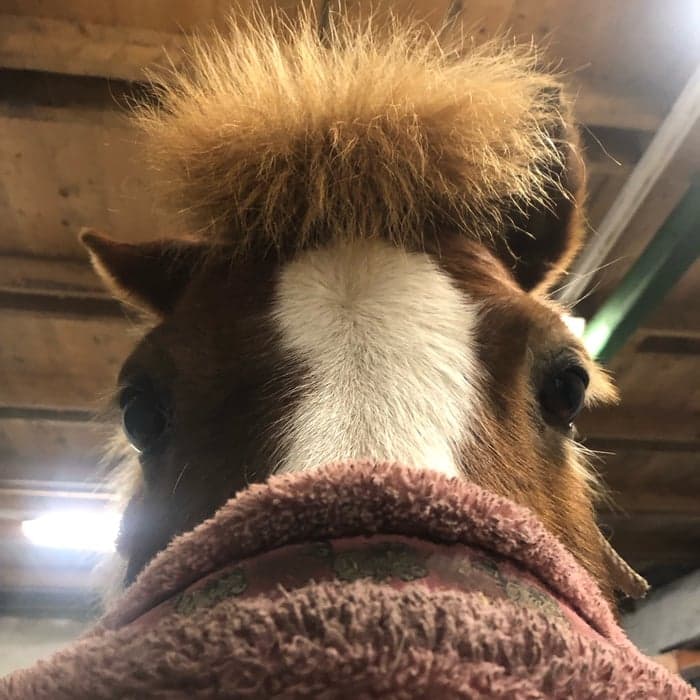 Media 1 av Cleopatra