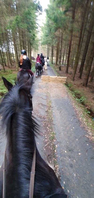 Inlägg 69 av Allround med titeln Hubertusjakt okt -23