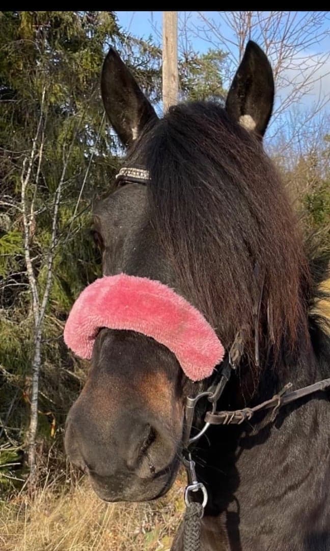 Bild 1 av Järvsö tord