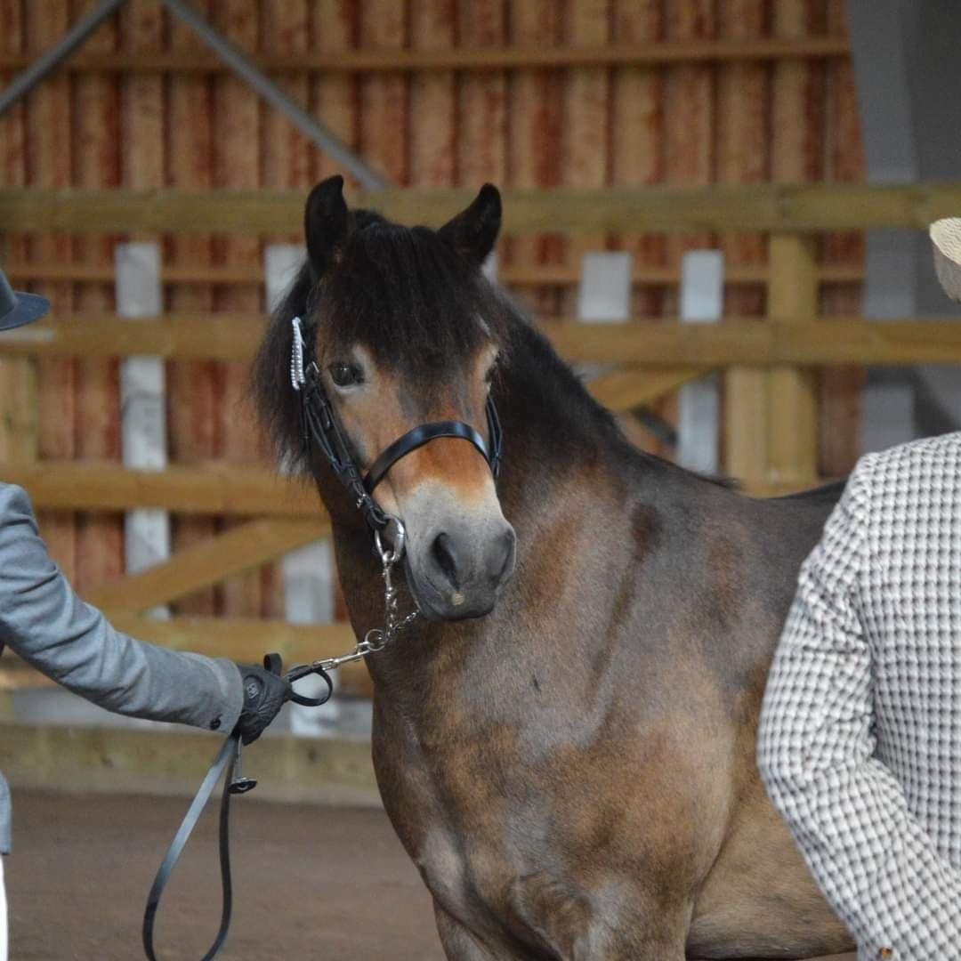 Image 1 of Farleywater Tanana