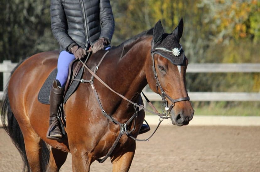 Bild 1 av Goodbye Blue Sky