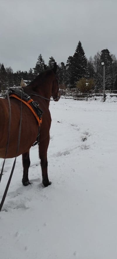 Inlägg 2 av Allround med titeln Tömkörning 