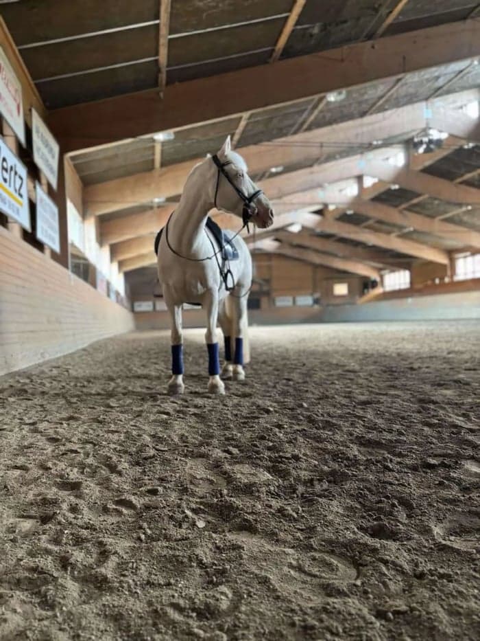 Media 1 av Empire ES