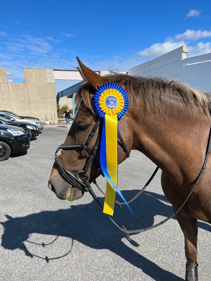 Media 1 av Golden Dancer