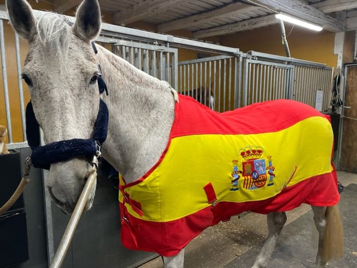 Media 5 of Mezcalero