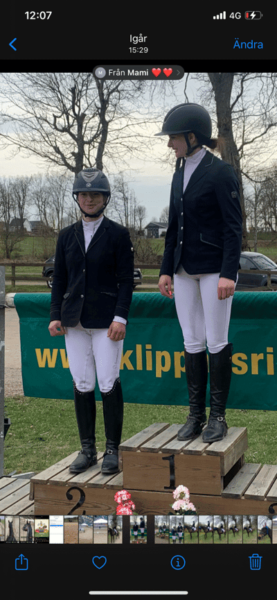 Inlägg 1 av Varmblodig ridhäst