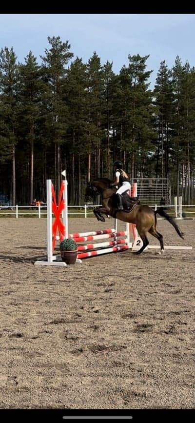 Inlägg 123 av Allround