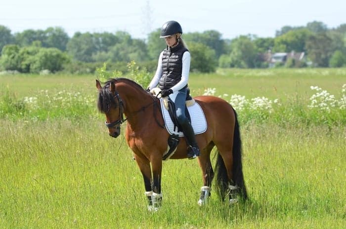 Media 1 av MoJs Rock Lee