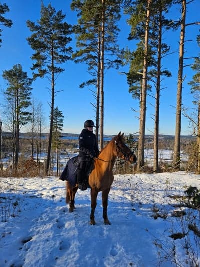 Inlägg 63 av Allround med titeln ❤️