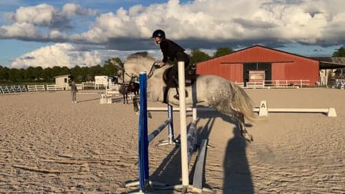 Bild av Vacker skimmel med kapacitet