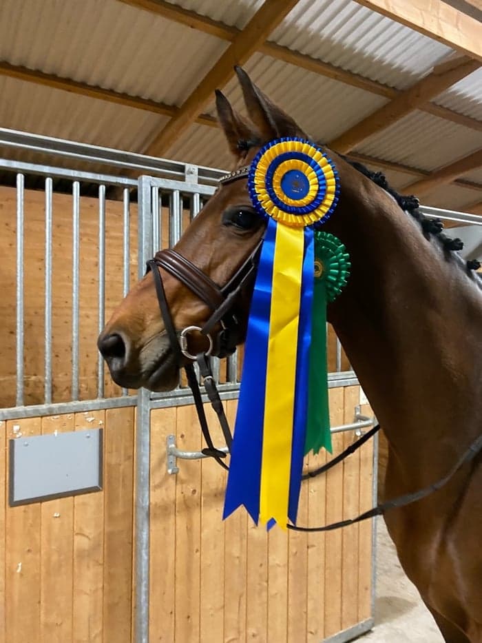 Media 1 av Quiba (62) (SWB)