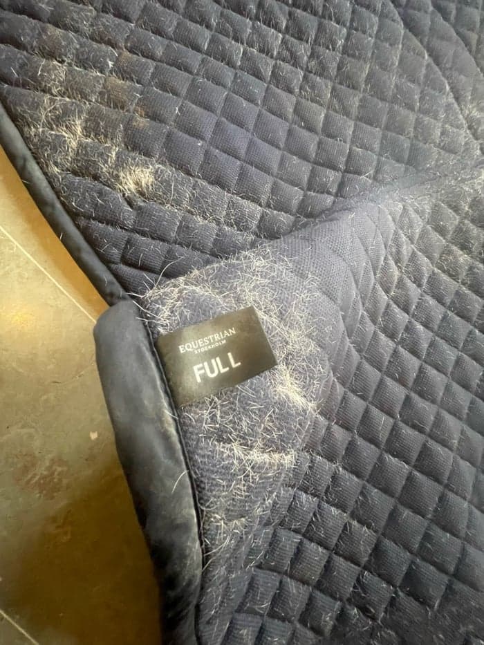 Media 5 av Equestrian Stockholm schabrak