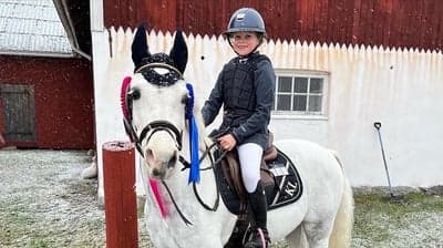 Inlägg 311 av Hoppning med titeln Kalle❤️❤️