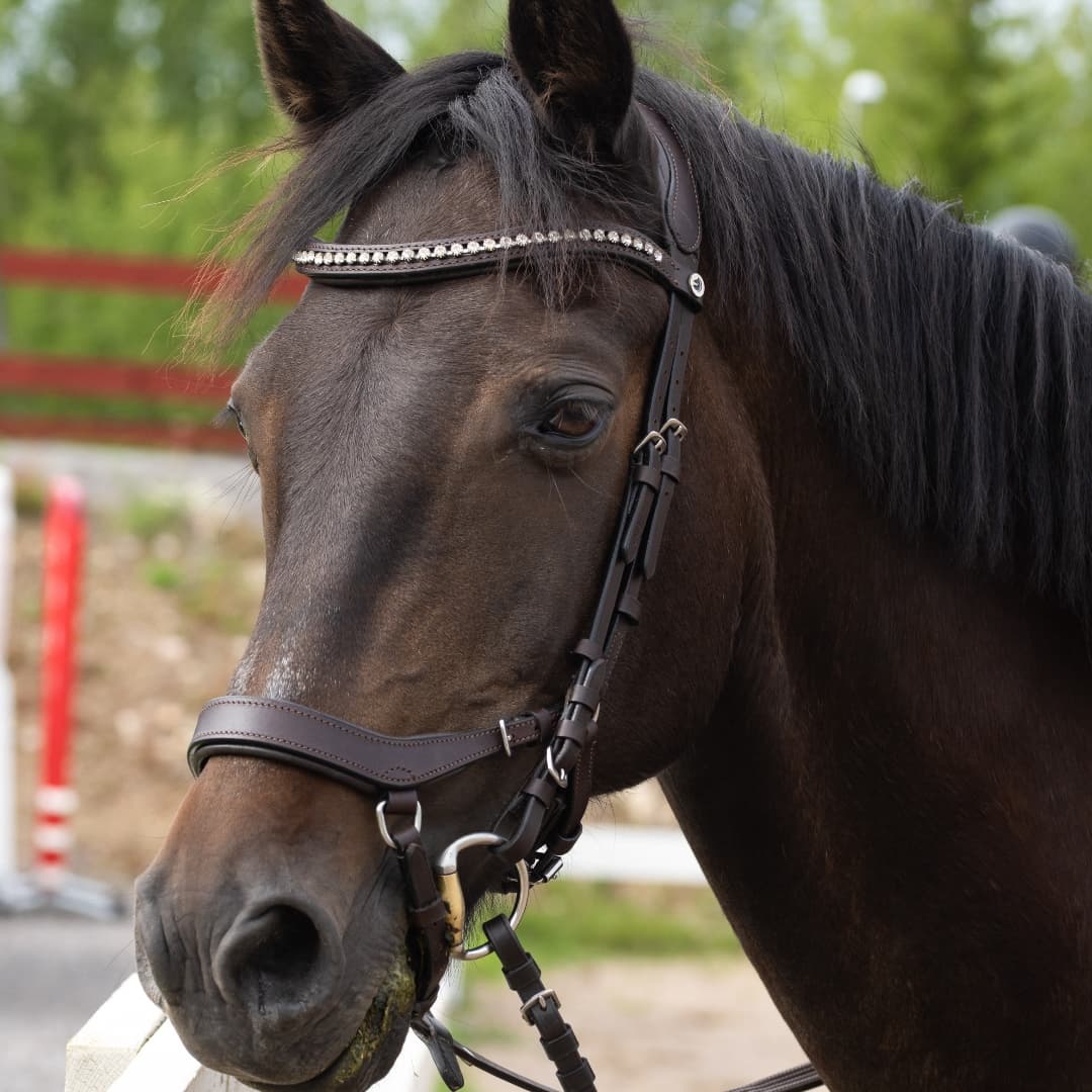 Bild 1 av Poetic Starfighter