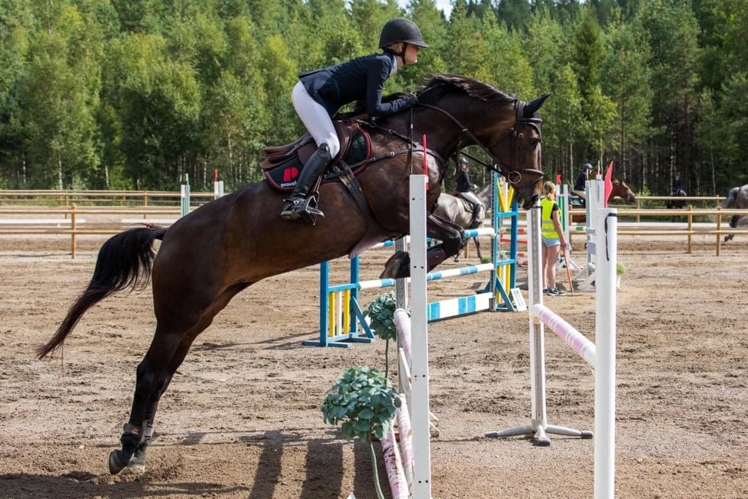 Image 1 of Starlette