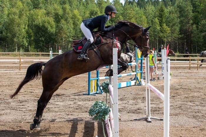 Media 1 of Starlette