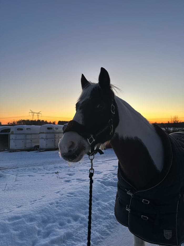 Media 1 av Templemore Cruise