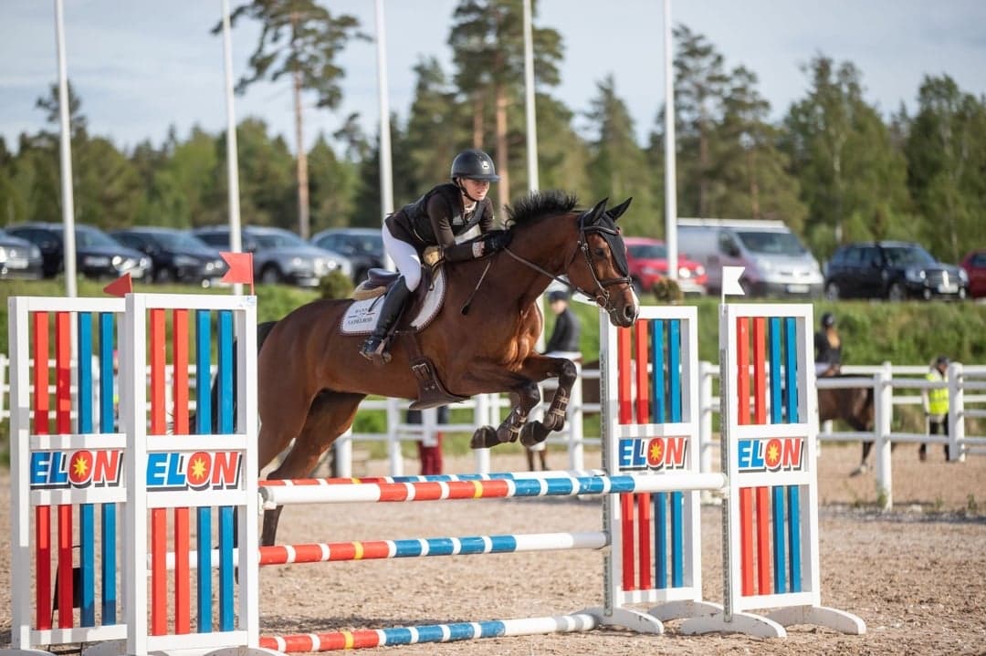 Bild 1 av Puch Dakota