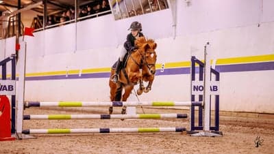 Inlägg 18 av Allround