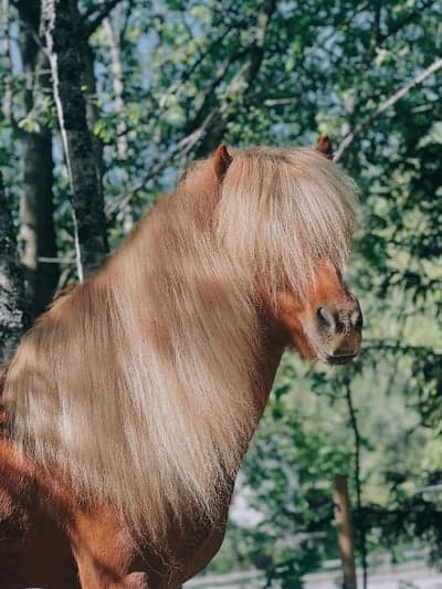 Inlägg 37 av Allround med titeln God hårdag hver dag💁🏼‍♀️🤍