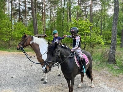 Inlägg 118 av Allround med titeln Annabel lär lillebror Florian att rida 