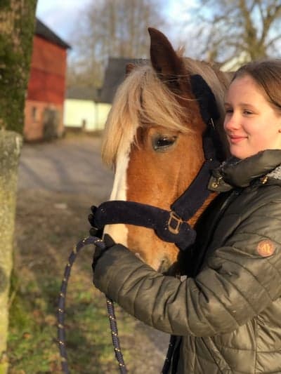 Inlägg 141 av Allround med titeln Min fina häst ska ha två privat lektioner snart hoppas det blir lite styr på min ponny❤️