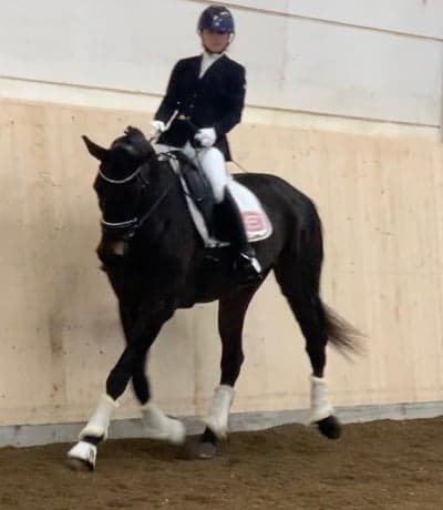 Inlägg 20 av Dressyr med titeln SANTAC MALMÖ RK 