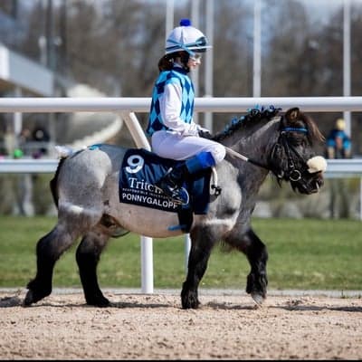 Inlägg 86 av Galopp med titeln Delux - Adriana Lopera Winterberg