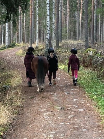 Inlägg 131 av Allround med titeln Kompisar