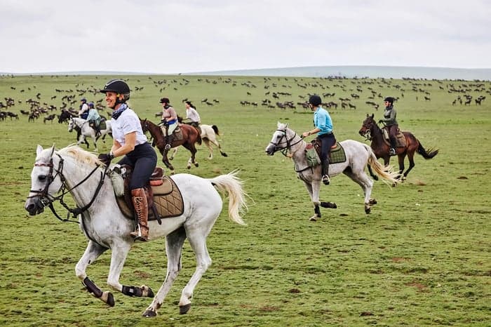 Media 2 av  Ridsafari genom gnuvandringen i Serengeti – 8 nätter i Tanzania