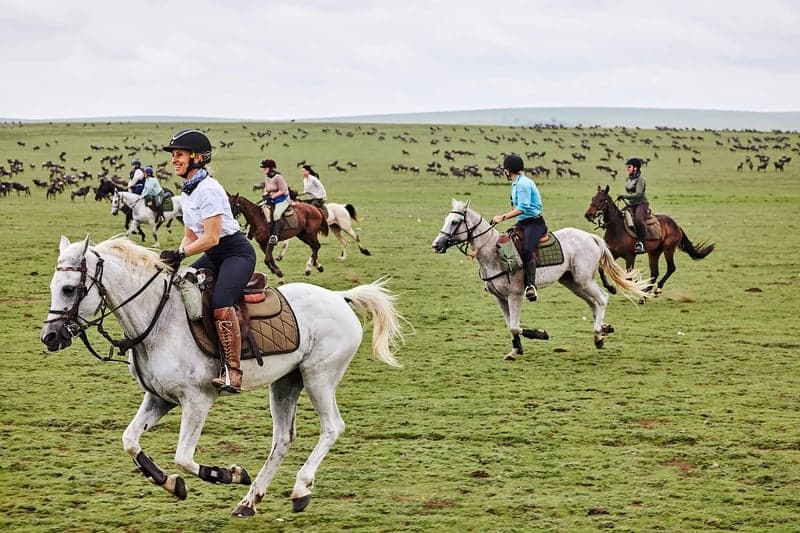 Bild 2 av  Ridsafari genom gnuvandringen i Serengeti – 8 nätter i Tanzania