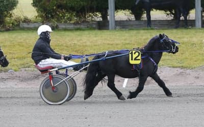 Inlägg 14 av Sportkörning med titeln Ponnytrav