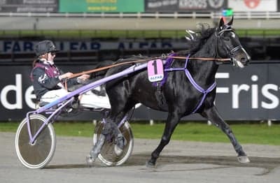 Inlägg 11 av Trav med titeln Arcos liwili (akke) in action 