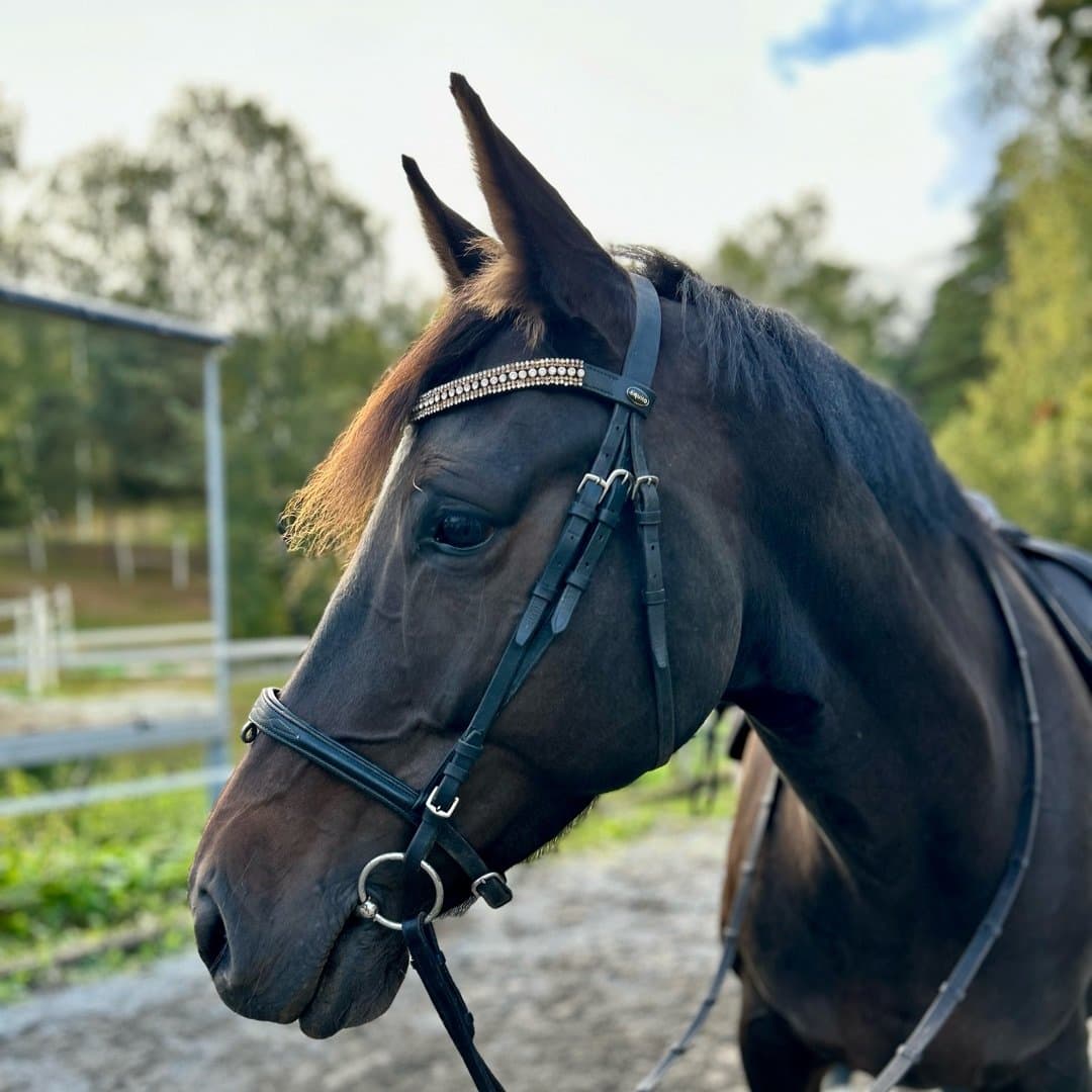 Bild 1 av Hbr Hilal
