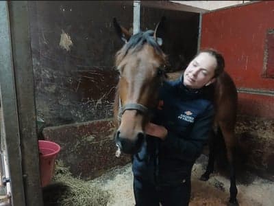 Inlägg 3 av Varmblodstravare med titeln Med nya skötaren Rebecca